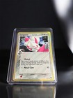 Zangoose