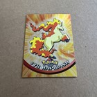 Rapidash