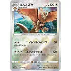 Noctowl