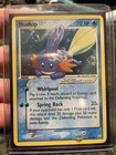 Mudkip