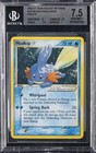 Mudkip