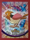 Spearow