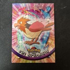 Spearow
