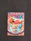 Spearow