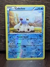 Cubchoo
