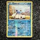 Cubchoo