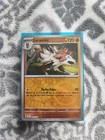 Lycanroc