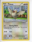 Pidove