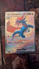 Salamence ex