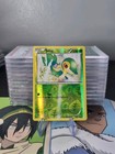 Snivy