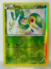 Snivy