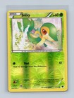 Snivy