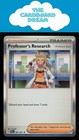 Professor's Research