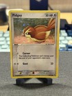 Pidgey