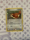 Pidgey
