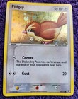 Pidgey