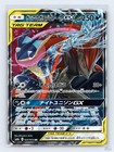 Greninja & Zoroark Tag Team  GX