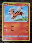 Growlithe