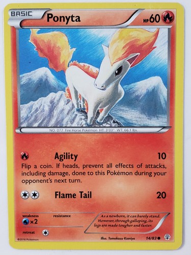Ponyta