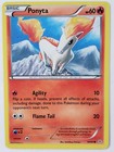 Ponyta