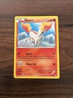 Ponyta
