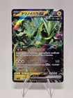 Iron Thorns ex