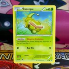 Caterpie