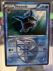 Sharpedo