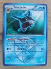 Sharpedo