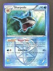 Sharpedo