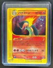 Typhlosion