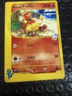 Karen's Magmar