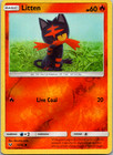 Litten