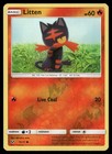 Litten