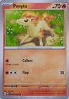 Ponyta