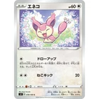Skitty