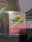 Drifblim