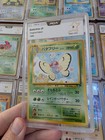 Butterfree