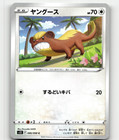 Yungoos