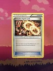 Groudon Spirit Link