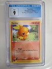 Torchic