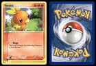 Torchic