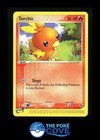 Torchic