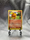 Torchic