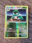 Torterra