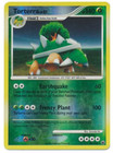Torterra