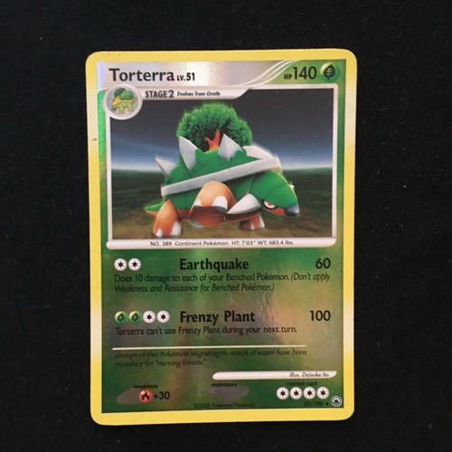 Torterra
