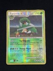 Torterra