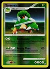 Torterra