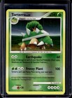 Torterra